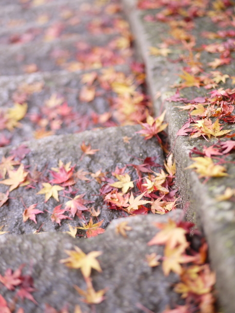 談山神社の紅葉_b0358575_20445090.jpg