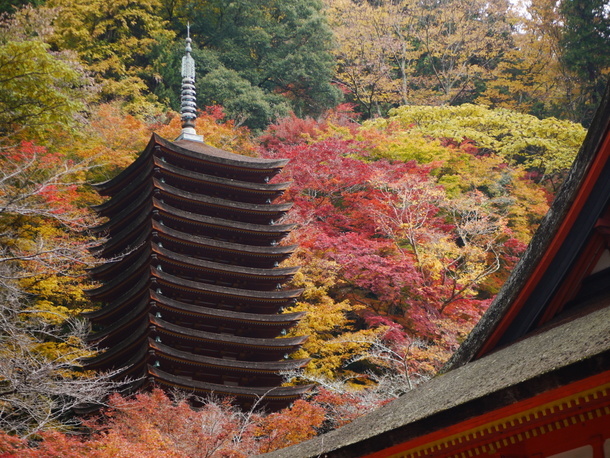 談山神社の紅葉_b0358575_20450554.jpg