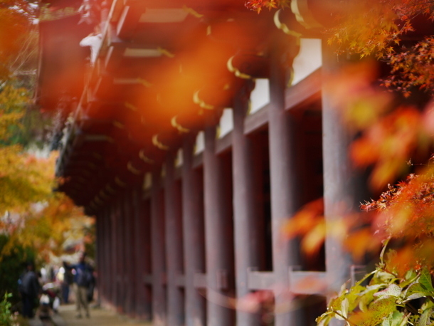 談山神社の紅葉_b0358575_20451388.jpg