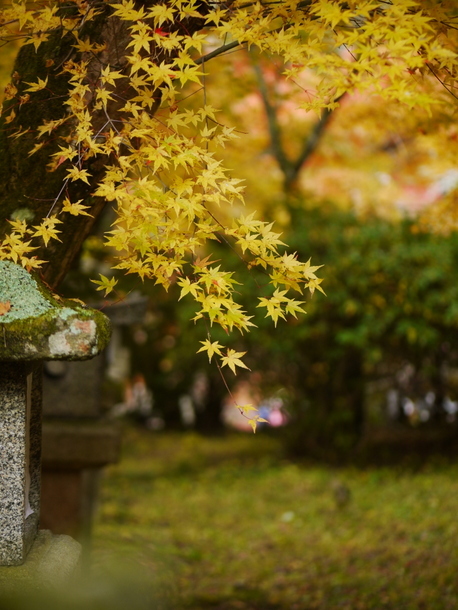 談山神社の紅葉_b0358575_20452271.jpg