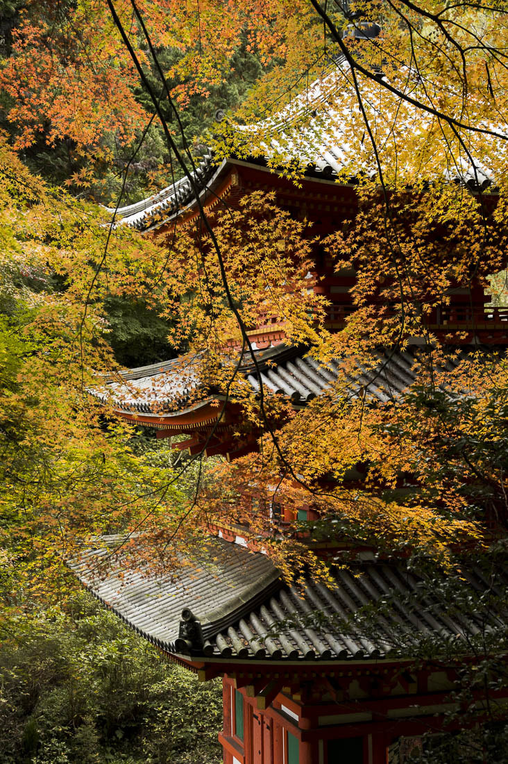 a0301676_15511679.jpg