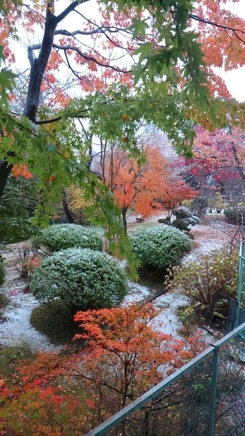 b0157277_22273369.jpg