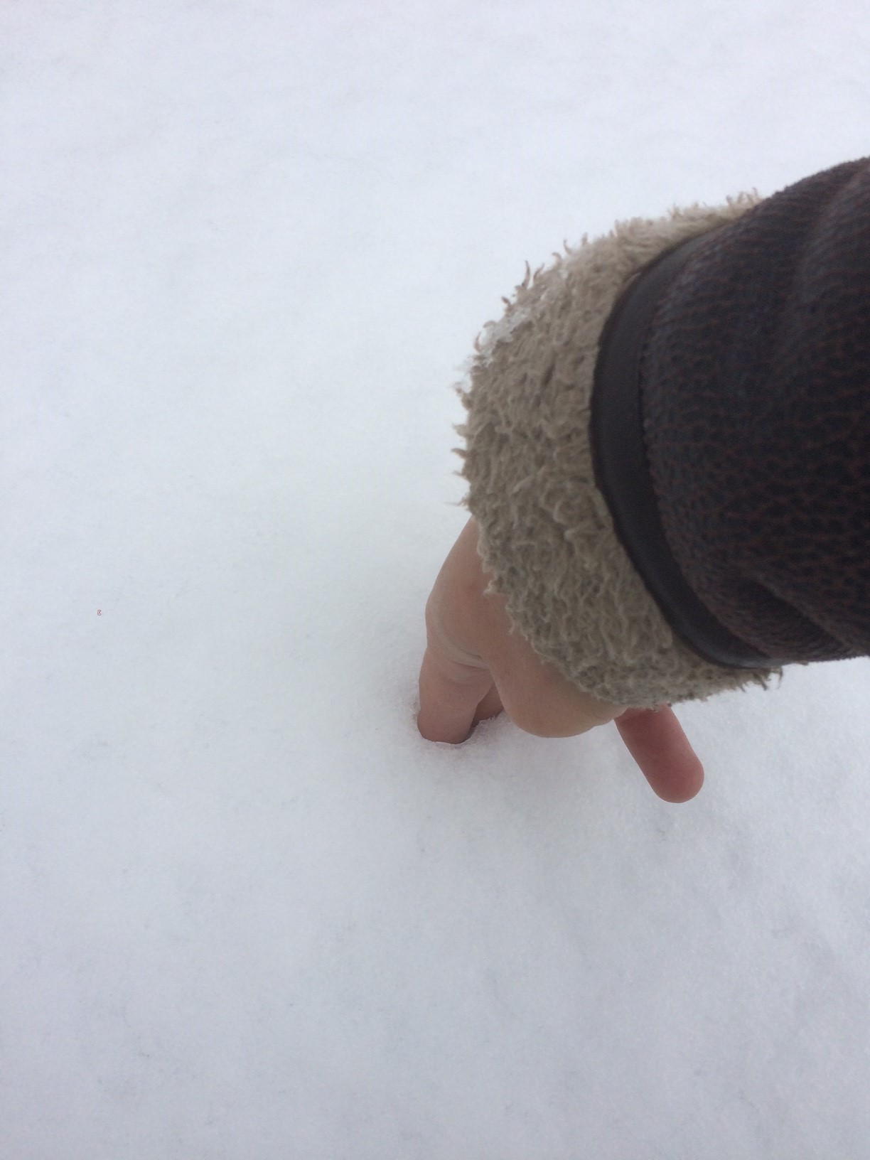 c0175182_14502491.jpg