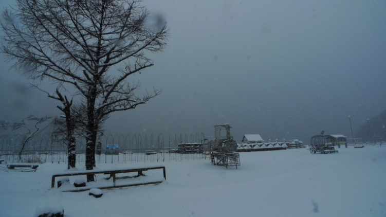 c0212083_16271625.jpg