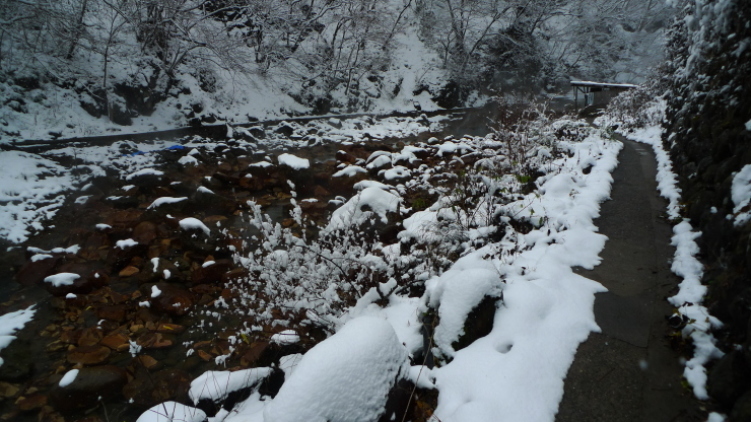 c0212083_16310259.jpg