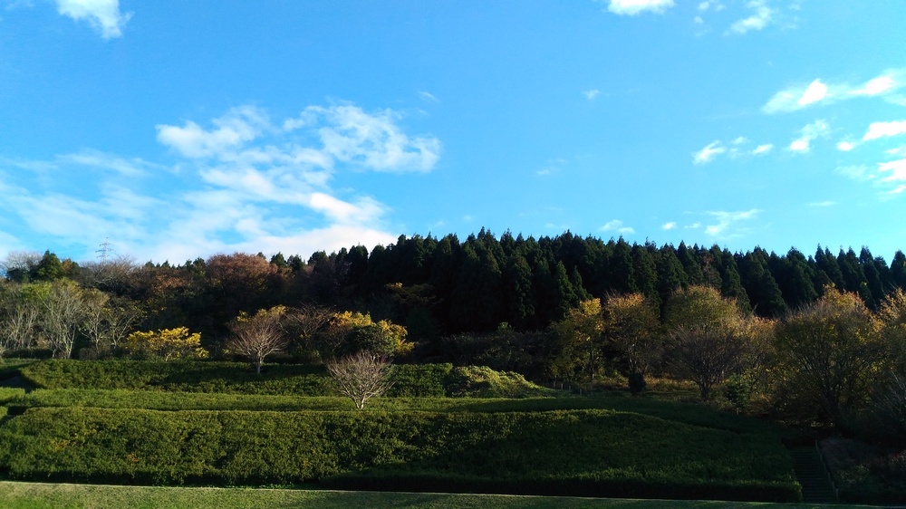 e0355083_15501228.jpg