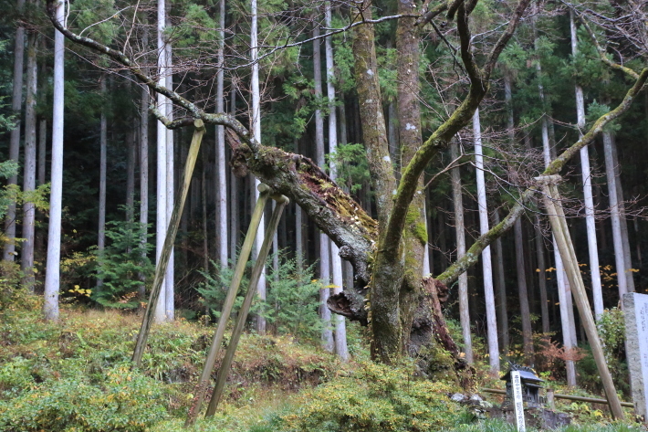 c0358784_12391939.jpg