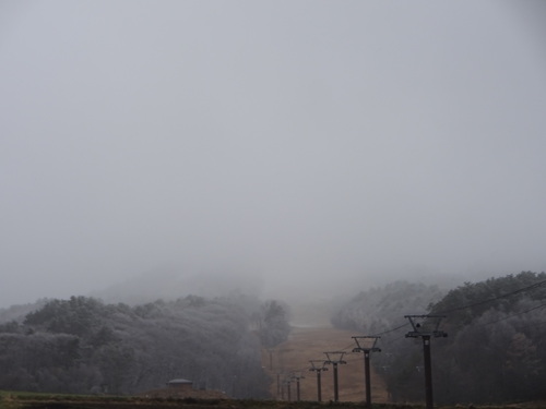 c0223286_821627.jpg