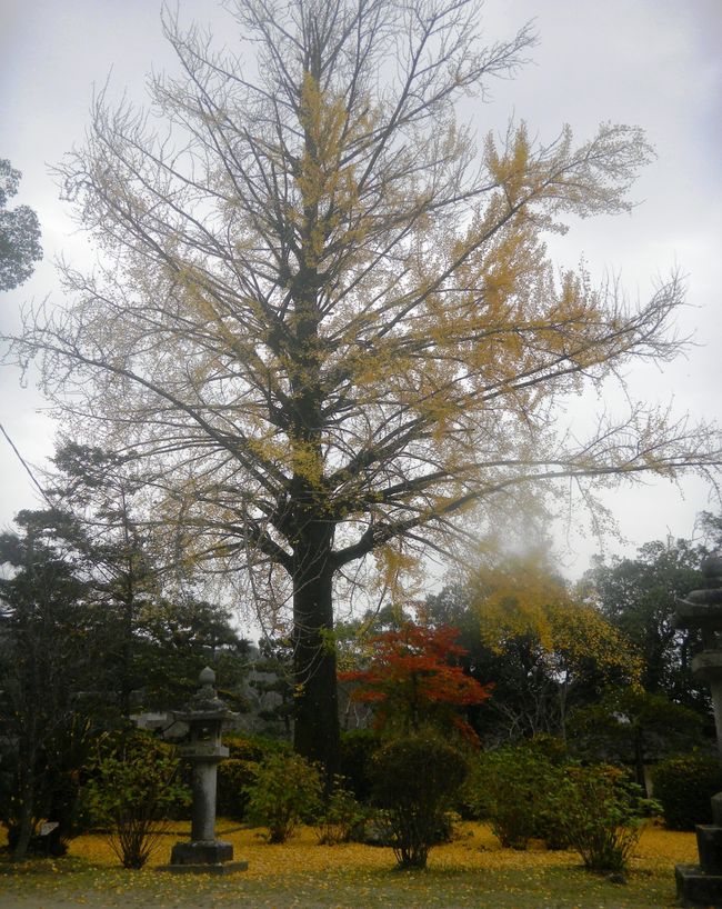 c0193187_11495264.jpg