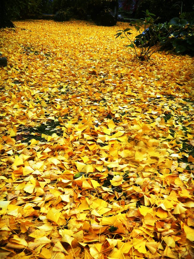 c0193187_1150286.jpg