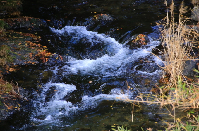 e0305388_14212644.jpg