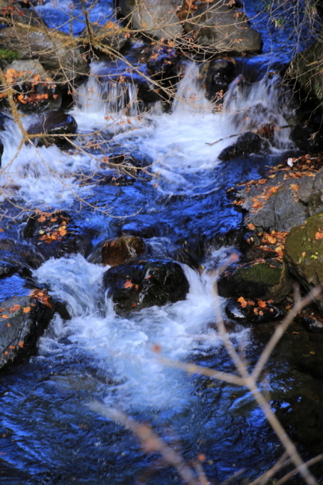 e0305388_14213660.jpg