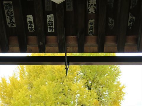 e0271890_22362937.jpg