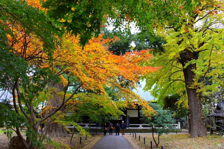 d0099791_11144777.jpg