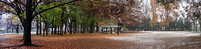e0176691_1924019.png