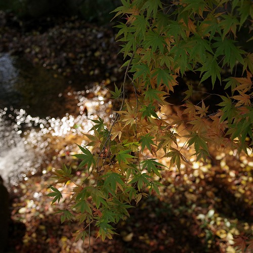b0119493_0112136.jpg