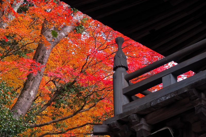 紅葉見納め　永源寺_b0236595_13541614.jpg