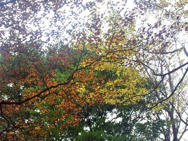 a0105396_01565581.jpg