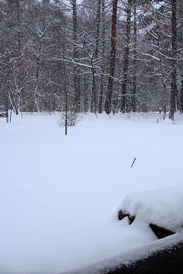 c0090198_17591252.jpg