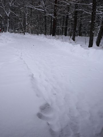 c0090198_1855616.jpg