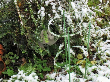 c0117898_12000648.jpg