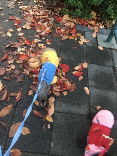 d0269898_16515282.jpeg