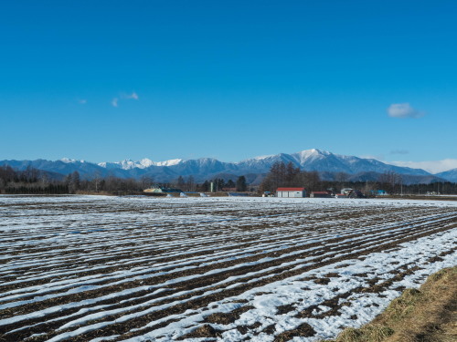 厳しい冷え込みで快晴・・中札内村の農村風景と日高山脈_f0276498_23365580.jpg