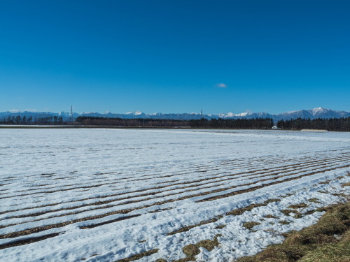 厳しい冷え込みで快晴・・中札内村の農村風景と日高山脈_f0276498_23384020.jpg