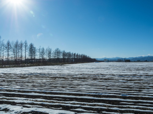 厳しい冷え込みで快晴・・中札内村の農村風景と日高山脈_f0276498_23390050.jpg