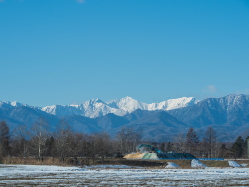 厳しい冷え込みで快晴・・中札内村の農村風景と日高山脈_f0276498_23392205.jpg