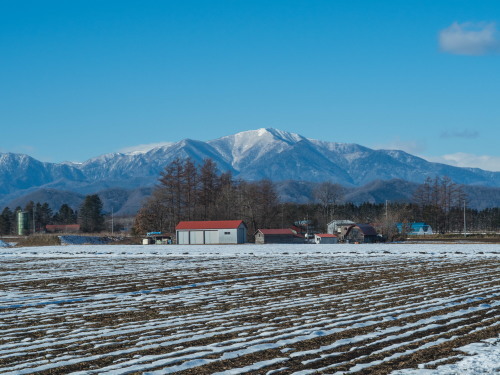 厳しい冷え込みで快晴・・中札内村の農村風景と日高山脈_f0276498_23394744.jpg