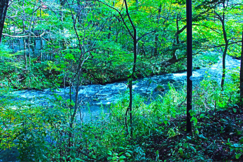 e0341599_11325061.jpg