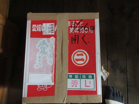 a0203003_14233682.jpg