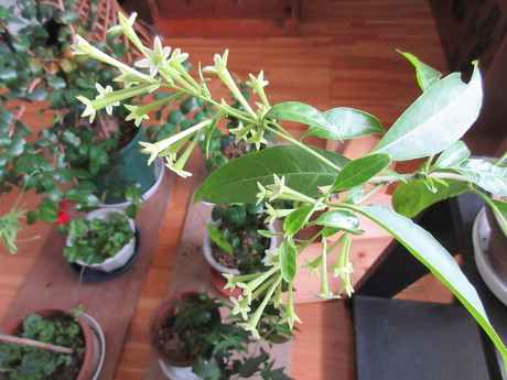 a0203003_14523244.jpg