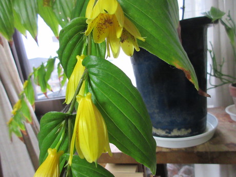 a0203003_14543224.jpg