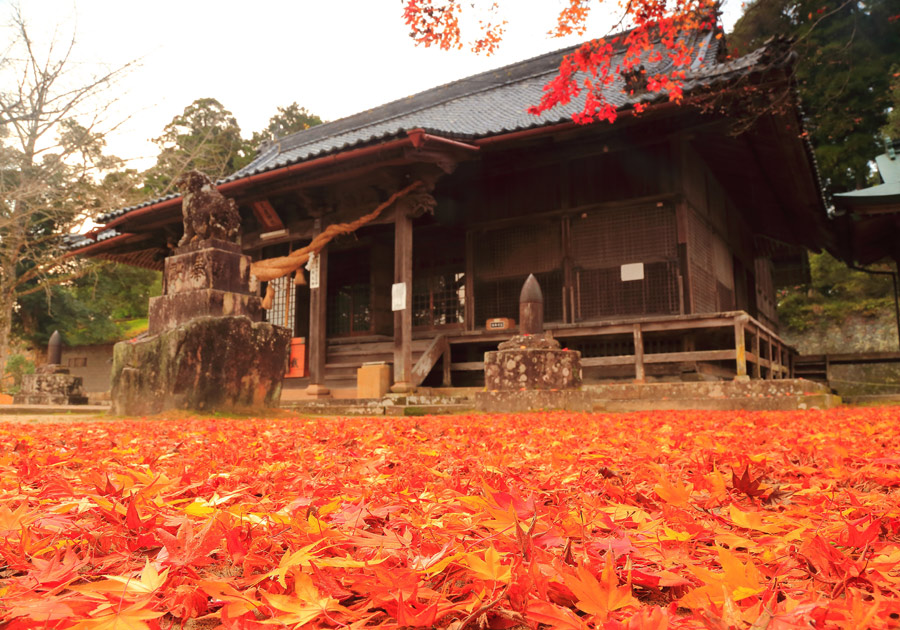 豊後森を歩く・その2(末廣神社)_e0093903_18195024.jpg