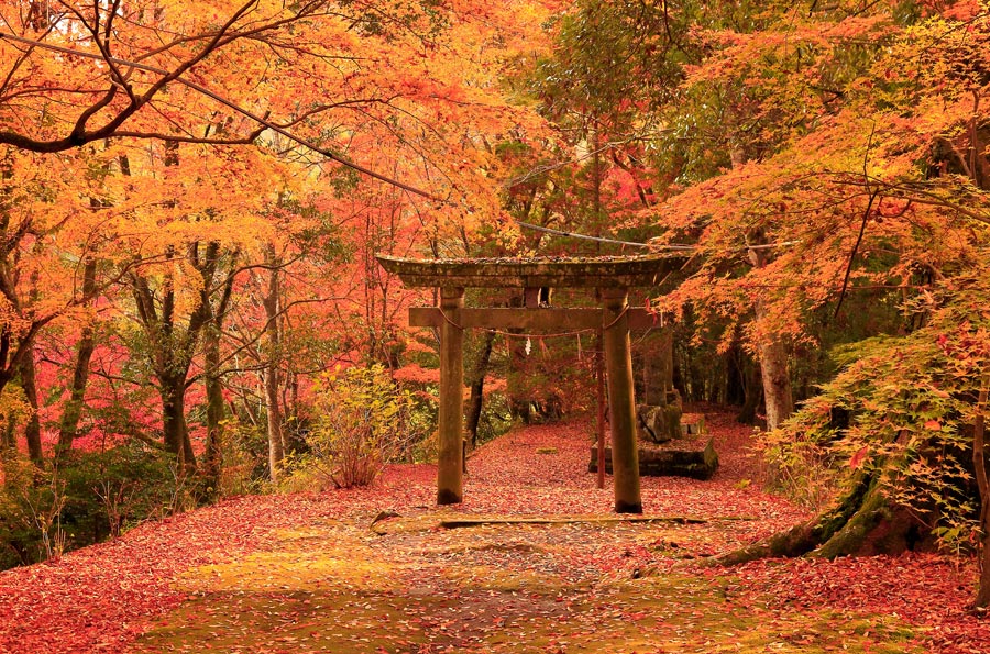 豊後森を歩く・その2(末廣神社)_e0093903_1820058.jpg