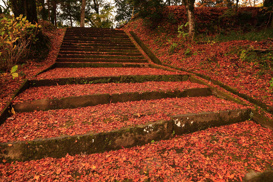 豊後森を歩く・その2(末廣神社)_e0093903_18201072.jpg