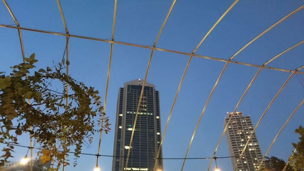 c0130705_11320917.jpg