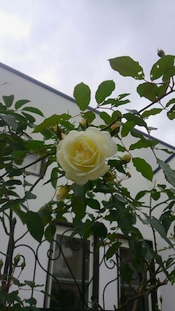 f0206605_1936555.jpg