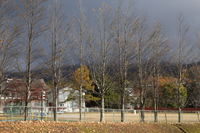 a0357206_21505541.jpg