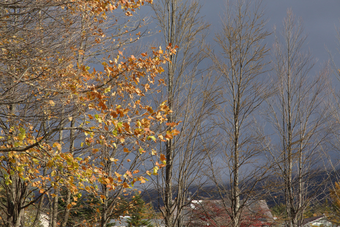 a0357206_21511197.jpg
