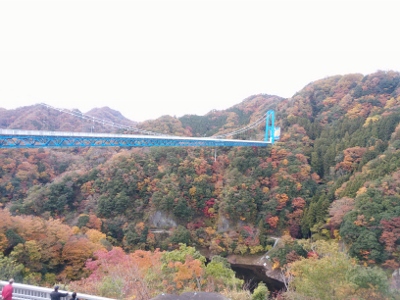 b0040606_21362388.jpg