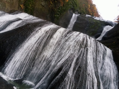 b0040606_21494143.jpg