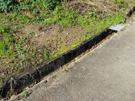 災難つづくよどこまでも_a0300410_23070566.jpg