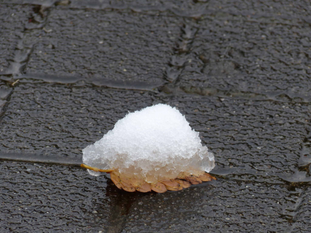 紅葉と雪のコラボを求めて_f0296312_11021517.jpg