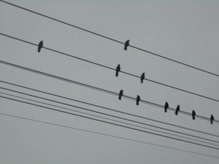 b0017215_1923133.gif