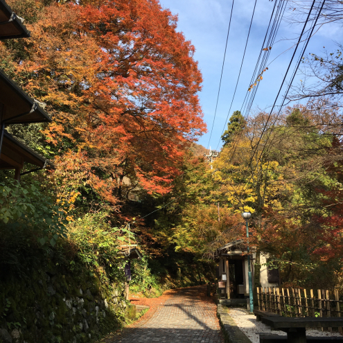 宿の前の坂道_c0210517_07282734.jpg