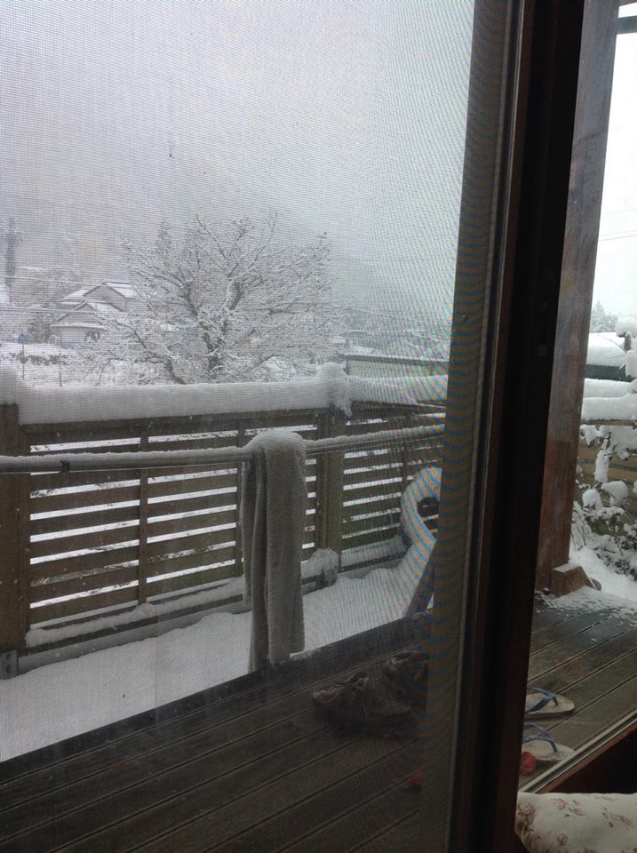 雪降りました!ヨネフィルムDVDも入荷しました~_f0229217_22271235.jpg