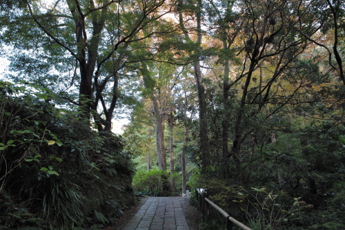 b0285619_17175635.jpg